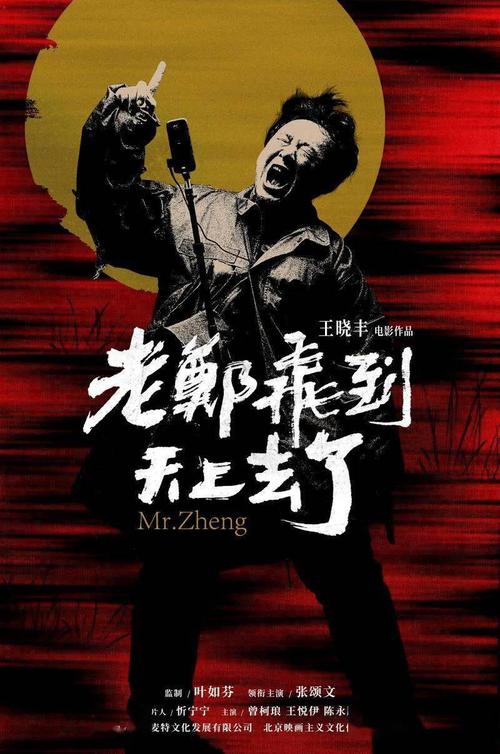 做个假爱尔兰驾驶执照